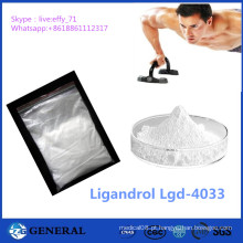 CAS 1165910-22-4 Sarmento Pó Ligandrol Lgd-4033